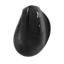 Mouse Ergonómico Inalámbrico Recargable Dual MS-55 (Negro) – Conexión Bluetooth + USB 2.4GHz